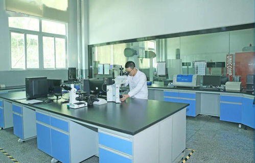 匠心智造 品質致勝│喜德盛細胞技術革新 只為您安心使用每一刻