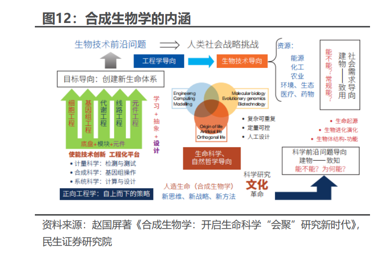 華恒生物研究報告:合成生物學領軍企業,生物基產品布局打開新空間